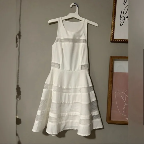 LuLu’s Coveted Curated Collected White Stripe Mini Dress with Mesh Detailing - Picture 3 of 8